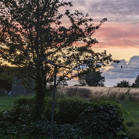Bed and Breakfast Under Valnodden Stubbekøbing Esterno foto