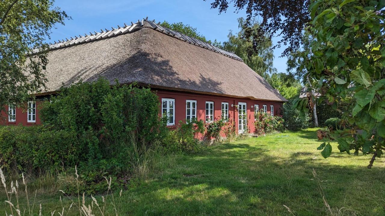 Bed and Breakfast Under Valnodden Stubbekøbing Esterno foto